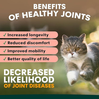 Petz Park Hip + Joint Cat Supplement 60 Scoops, Cat Joint Supplement with Glucosamine, Chondroitin and MSM, Cat Food Topper for Wet and Dry Food, Mobility and Joint Support, Made in Australia