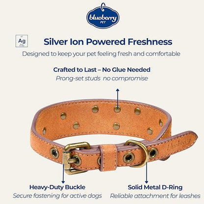 Blueberry Pet Premium Embossed Silver-Powered Freshness Microfiber Suede Leather Dog Collar in Saddle Brown