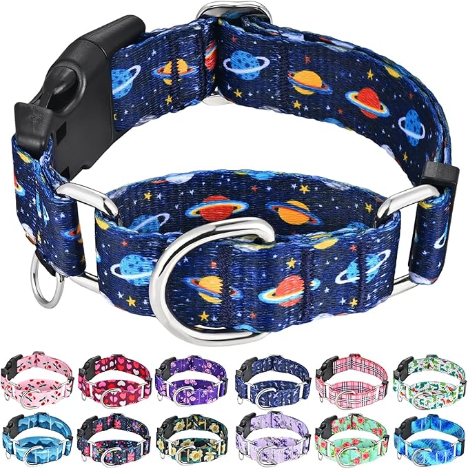 Martingale Dog Collars with Buckle No Slip Training Boy Dog Collar for Large Dogs (Blue Space, Large)
