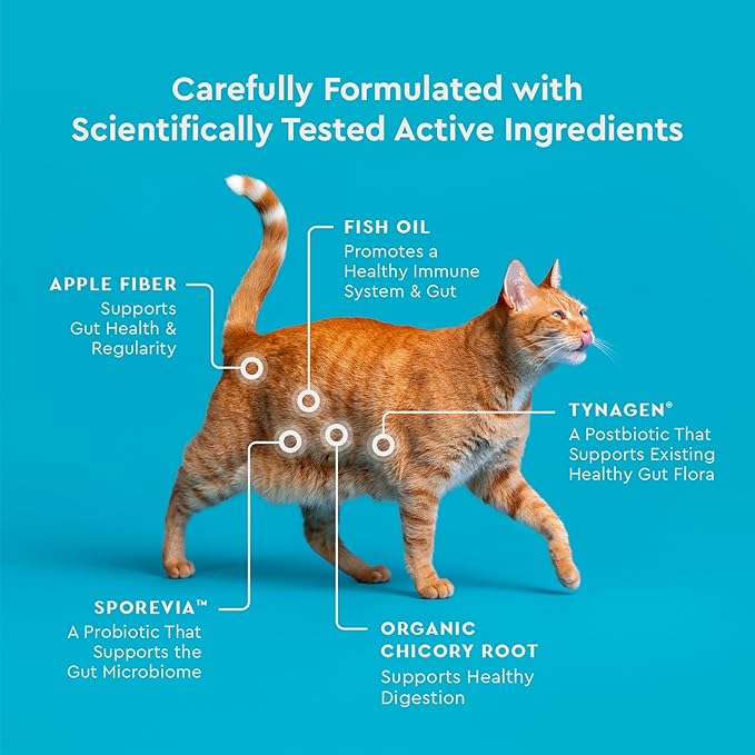 VetIQ Cat Probiotics Supplement – Probiotic, Prebiotic & Postbiotic Cat Supplements, Digestive & Gut Health Support, Constipation & Diarrhea Relief, Chicken Flavored, 3.7 oz