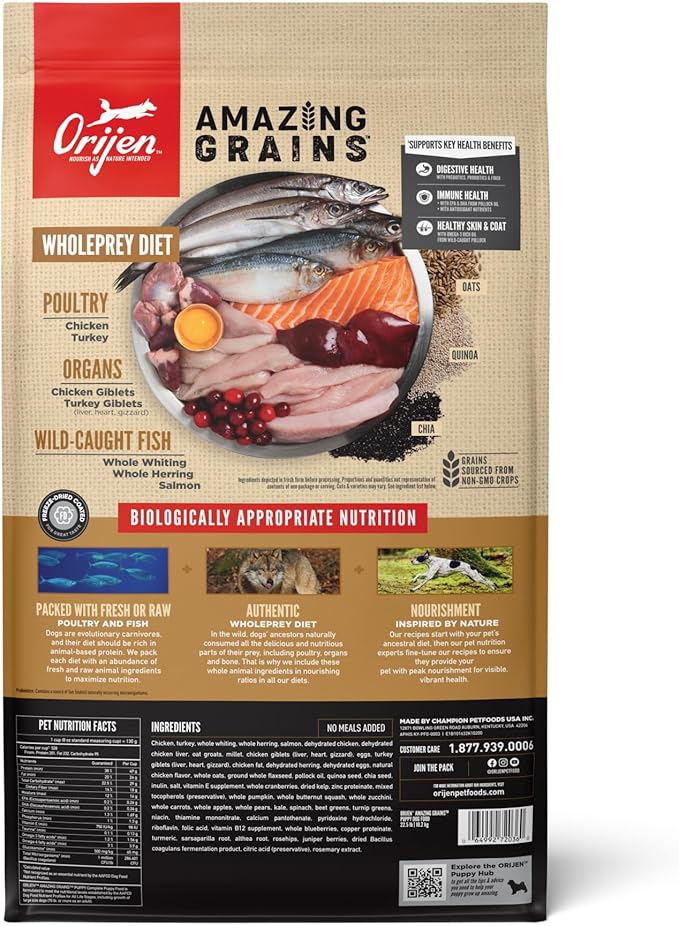 ORIJEN Amazing Grains High Protein Dry Dog Food Puppy Recipe 22.5lb Bag