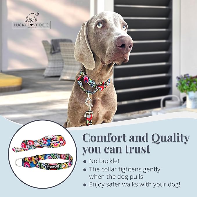 Lucky Love Dog Martingale Collar and Leash Set, Premium No Slip Collar and Leash Set, Great for Whippets, Greyhounds, and More (Blackbird, Small - Combo)
