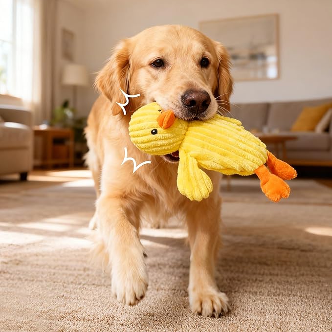 Prime Pets 5 Pack Plush Squeaky Dog Toys, No Stuffing Bodies, Crinkle Pet Toys for Small Medium Large Dogs, Puppy Chew Toy to Keep Them Busy