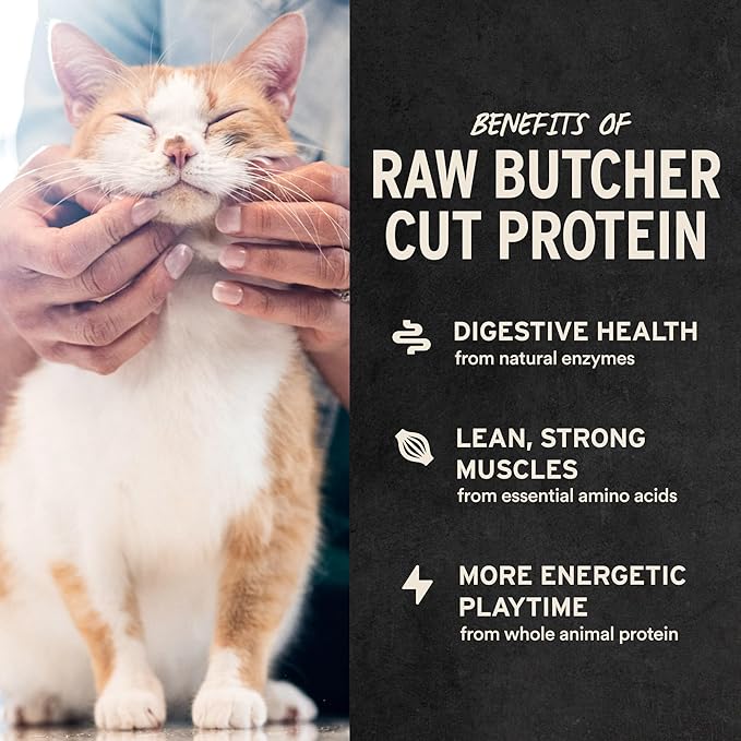 Vital Essentials Freeze Dried Cat Treats | Chicken Giblets, Single Protein | Premium Quality | Grain Free, Healthy Treats for Cats, 1 oz Bag