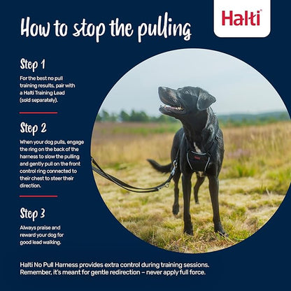 Halti No Pull Harness - Stop Your Dog Pulling on the Leash. Adjustable, Lightweight and Easy to Use. Reflective Dog Training Harness for Medium Dogs (Size M, Black)