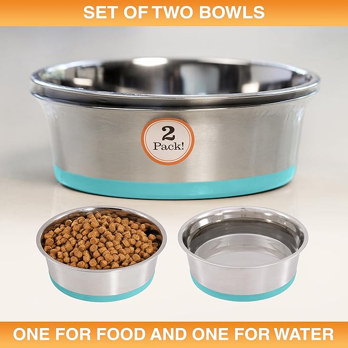 Neater Pet Brands Stainless Steel Dog Bowls with Non-Slip Rubber Bottom – Set of 2, 4 Cup (32 oz), Teal - Heavy Duty Metal Dog Bowl, Dishwasher Safe, Food or Water Bowl, Ideal for Medium Dogs