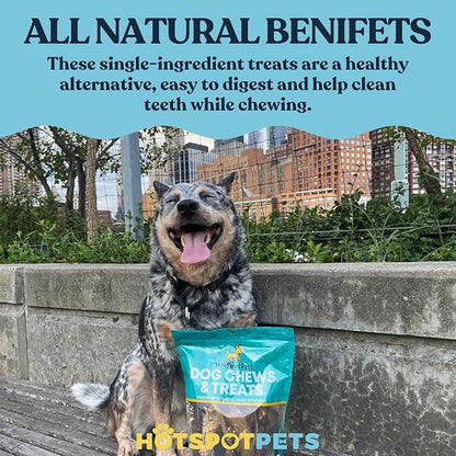 hotspot pets Freeze Dried Salmon Skin Sticks for Cats & Dogs - Reasealable 1lb Big Bag Single Ingredient All Natural Omega 3 Benefits, Salmon Sticks- Perfect for Training, Topper or Snack