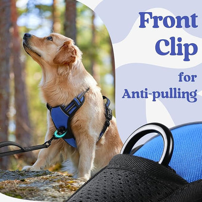 rabbitgoo Dog Harness Small Sized, No Pull Pet Harness with 3 Buckles, Adjustable Soft Padded Vest with Control Handle, Walking Reflective Pet Vest for Small Dogs, Blue, S