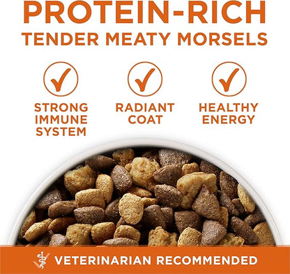 Purina ONE Plus Healthy Weight High-Protein Dog Food Dry Formula - 16.5 lb. Bag