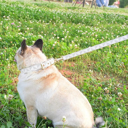 Leather Dog Collar and Leash Set, Check Pattern Dog Collar Leashes Metal Buckle Adjustable Durable for Small Medium Large Dogs (White, S(11.4-13.4IN))