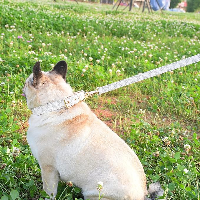 Leather Dog Collar and Leash Set, Check Pattern Dog Collar Leashes Metal Buckle Adjustable Durable for Small Medium Large Dogs (White, M(11.8-15IN))