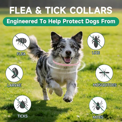 4 Pack Flea Collar for Dogs, Flea and Tick Prevention for Dogs, Dog Flea and Tick Treatment, 32 Months Protection, Waterproof, Adjustable Tick Collar for Dogs, One Size Fits All, Red and White