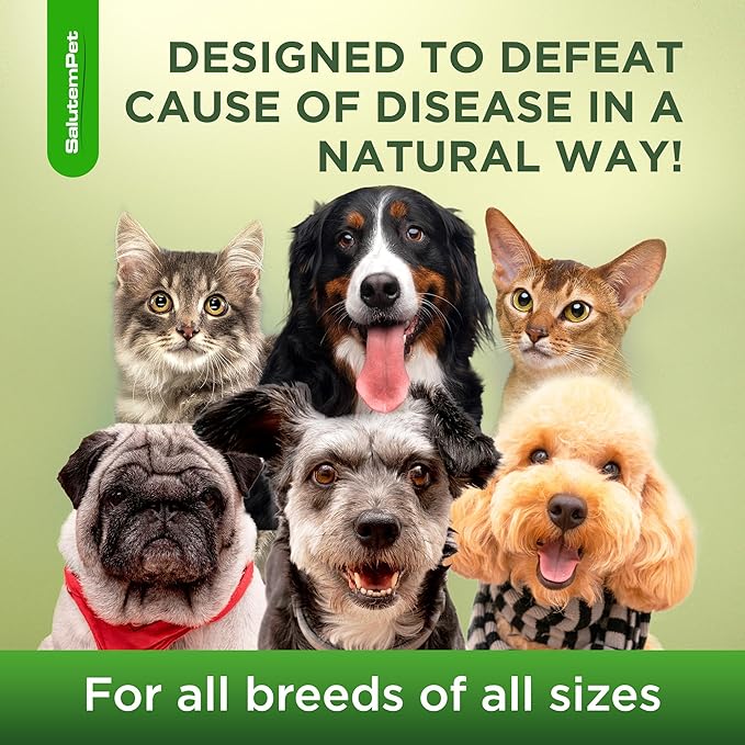 Kennel Cough Medicine for Dogs & Cats – Kennel Cough Treatment Helps with Allergies & Sneezing – Herbal Supplement with Mullein Leaf, Angelica Root, Calendula Breeds – 2 Oz