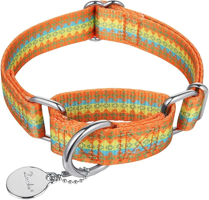 Fashion Print and Unique Geometric Pattern Martingale Dog Collar, Silky Soft Safety Training Collars for Small to Large Dogs (Medium, 1 Inch Wide, Orange Yellow and Green)