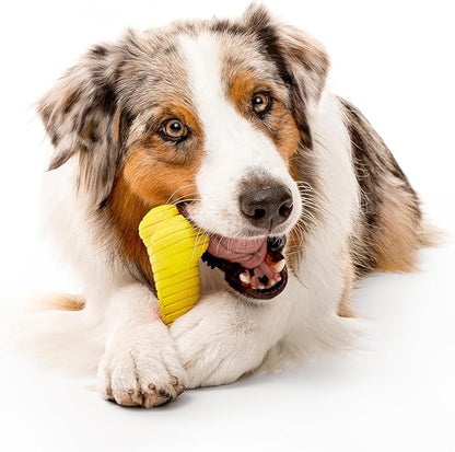 Playology Dog Toys | Dual Layer Bone Durable Chew Toy Bone for Dogs | Jumbo Chicken Scented Toy - Easy to Clean and Made from Non Toxic Materials