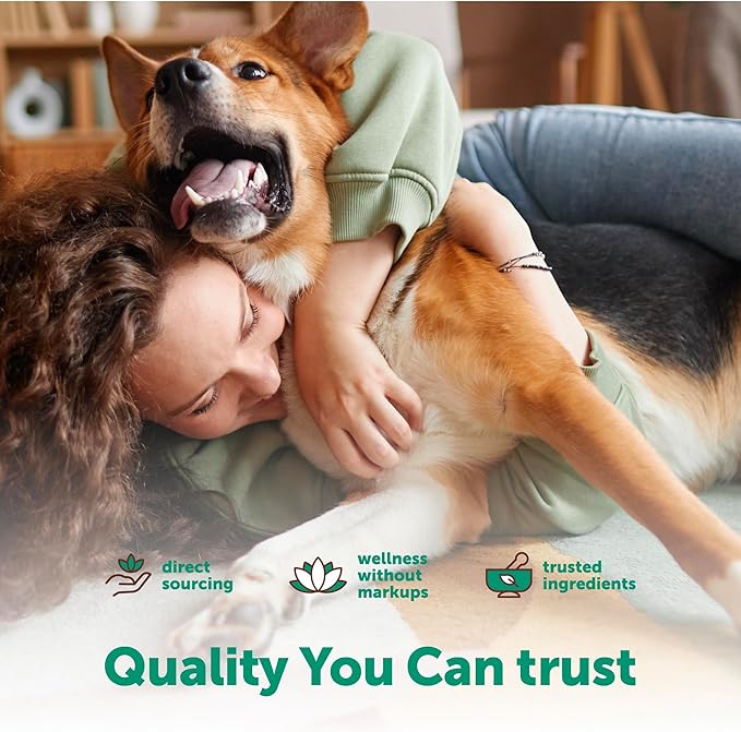 Micro Ingredients Probiotics for Dogs, 240 Soft Chews | Daily Digestive Health Probiotic Chews for Dogs with Prebiotics & Enzymes | Supports Gut Flora & Immune Function* | Non-GMO, Duck Flavor