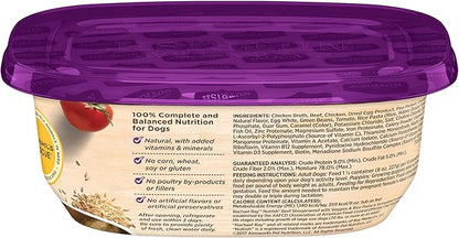 Nutrish Wet Dog Food Tubs, Beef Stroganwoof Recipe, 8 Ounce Tub (Pack of 8) (Rachael Ray)