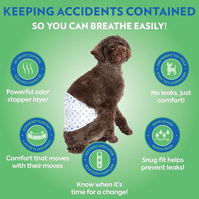 OUT! PetCare Disposable Dog Diapers Male, Puppy Belly Band, Potty Training, Doggie Diapers, Belly Bands for Male Dogs, Puppy Training, Adjustable Fasteners, Incontinence, (XS/S, 12ct)