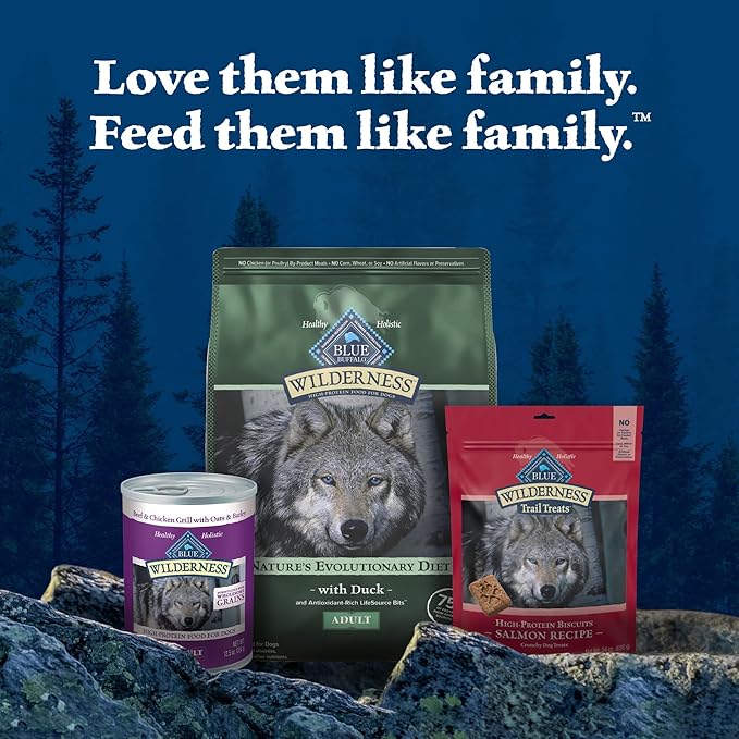 Blue Buffalo Wilderness Natural High-Protein Dry Food for Adult Dogs, with Wholesome Grains, Duck, 13-lb Bag