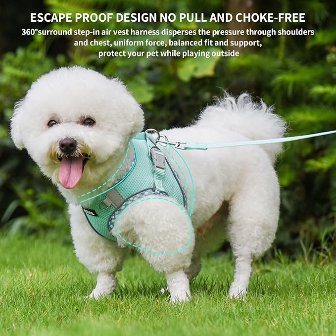 AIITLE Dog Harness and Leash Set - Ultra-Comfortable XXS-XL Vest with Strong Magic Tape & Glow-in-Dark Reflective Strips, Chafe-Free for Teddy, Schnauzer (Turquoise, M)