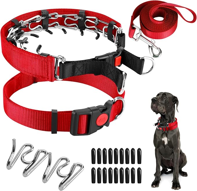 Prong Training Collar with Comfort Tips and Quick Release - Dog Choke Pinch Collar with Nylon Cover - Classic Collar and Leash for Small to Large Dogs