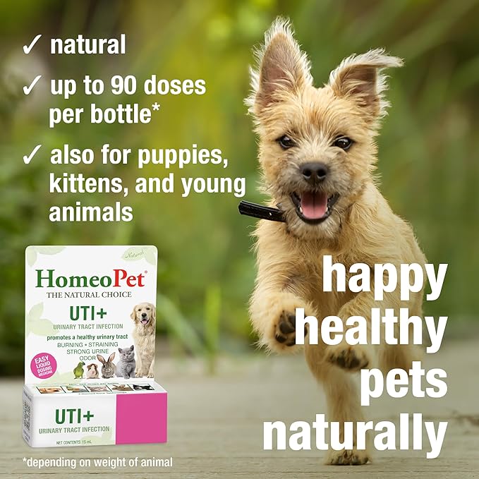 HomeoPet UTI+ Urinary Tract Relief, Safe and Natural Dog and Cat UTI Supplement, 15 Milliliters