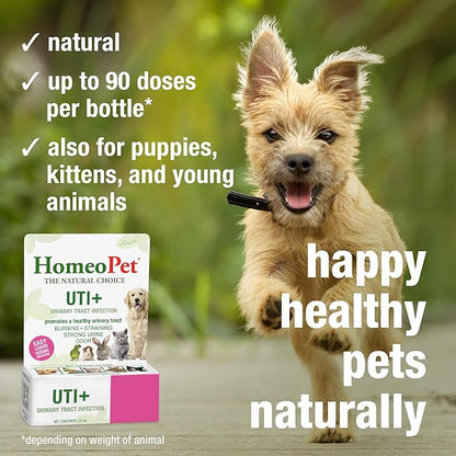 HomeoPet UTI+ Urinary Tract Relief, Safe and Natural Dog and Cat UTI Supplement, 15 Milliliters