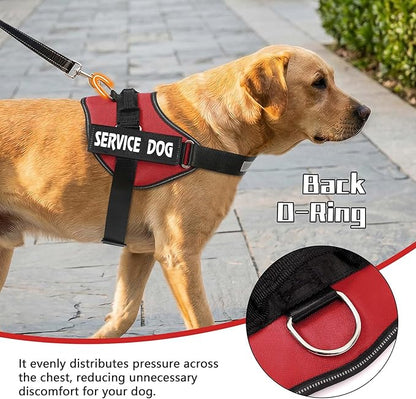 MUMUPET Service Dog Harness, No Pull Reflective Adjustable Vest with Handle, Soft Breathable Padding for Small Dogs, 2 Removable Velcro Patches (Red, S)