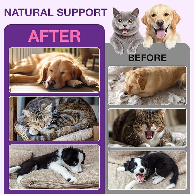 Melatonin for Pets, Melatonin for Dogs, Sleep Aid for Dogs, Melatonins for Cats, Support Aanxiety & Stress Relief, Promotes Relaxation and Deep Sleep, 2Oz Chicken Flavor