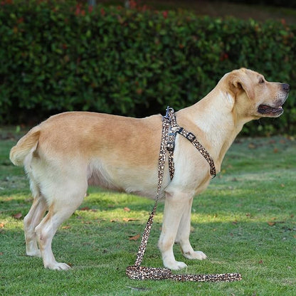 Harness and Leash Set, Leopard Pattern, 5ft Matching Leash, No Pull, Easy Wear for Small Dogs.(S, Brown Leopard)