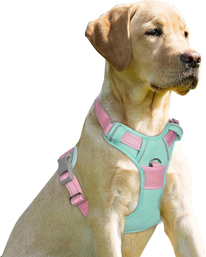 BARKBAY No Pull Dog Harness Front Clip Heavy Duty Reflective Easy Control Handle for Large Dog Walking(Cool Mint & Baby Pink,XL)