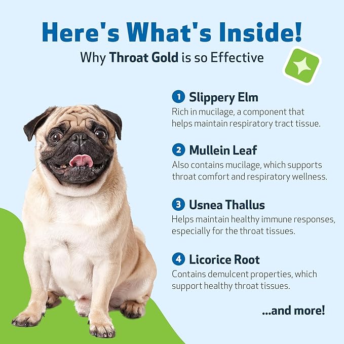 Pet Wellbeing Throat Gold for Dogs - Supports Collapsed Trachea & Throat Discomfort with Mullein & Slippery Elm for Kennel Cough - NASC Certified & Vet-Formulated 2 oz Liquid Formula