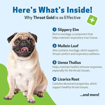 Pet Wellbeing Throat Gold for Dogs - Supports Collapsed Trachea & Throat Discomfort with Mullein & Slippery Elm for Kennel Cough - NASC Certified & Vet-Formulated 2 oz Liquid Formula