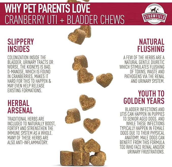 Strawfield Pets Cranberry Bladder & UTI Chews for Dogs D-Mannose + Vitamin C for Urinary Tract Support Bacon Flavored Soft Chews 120 softchews