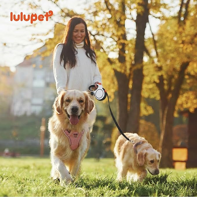 3 in 1 No Pull Dog Harness Leash and Collar Set, Soft Adjustable Dogs Vest Reflective and Comfortable Handle Pink Medium