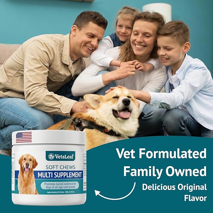 Multi Dog Chews – Comprehensive Health Supplement with Glucosamine, Probiotics, Salmon Oil, Ashwagandha & Mushrooms – Daily Well-Being, Skin & Coat, Digestion and Vitality Support