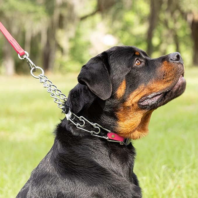 Herm Sprenger Chrome Plated Steel Dog Collar with Quick Release ClicLock Buckle O-Ring Biothane Insert Training Collar Made in Germany (Passionfruit Pink, 25in x 4.0mm(Neck Size up to21-22in))
