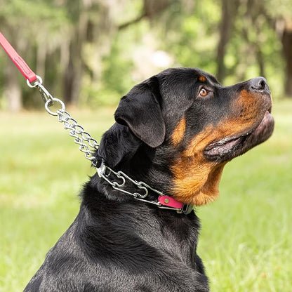 Herm Sprenger Chrome Plated Steel Dog Collar with Quick Release ClicLock Buckle O-Ring Biothane Insert Training Collar Made in Germany (Passionfruit Pink, 25in x 4.0mm(Neck Size up to21-22in))