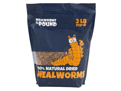 MBTP Bulk Dried Mealworms - Treats for Chickens & Wild Birds (2 Lbs)