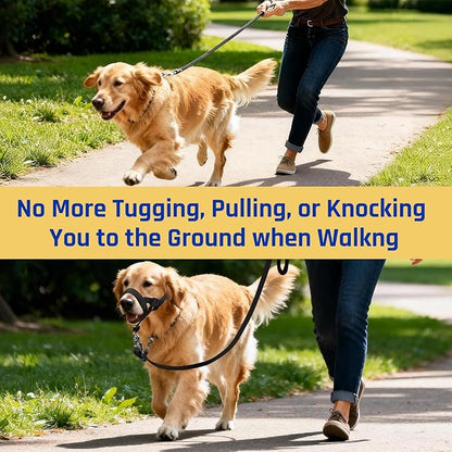 BARKLESS Dog Training Head Collar for Pulling, No Pull Head Halter with Adjustable Safety Strap, Anti-Pull Soft Padded Muzzle Leash for Walking Training Leash Reactive Large Dogs