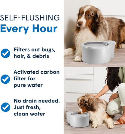 Always Full® 9” Dog Water Bowl and Bottle Pump Bundle, Self Refilling with Clean Filtered Water, App-Enabled Smart Hydration Monitoring, Upgradeable System for Dogs and Cats