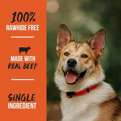 Scott Pet Grillerz Junior Meaty Mammoth Bone, 1 Count, Rawhide Free, All Natural Treat for All Breeds, Gluten Free, Long Lasting, Easy to Digest, Dog Chew for Healthy Teeth