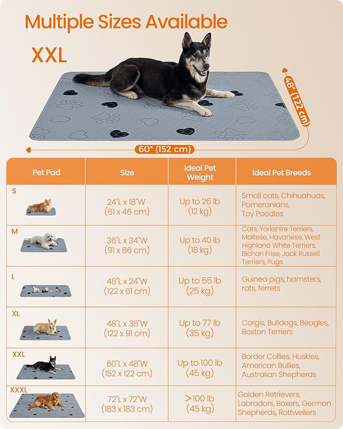 Feandrea Washable Dog Pee Pads, 2 Pack, Reusable Dog Pads, 60 x 48 Inches, XXL, Waterproof Pet Training Pads, Leakproof, Non-Slip, Super Absorbent, Gray UPTD048G01