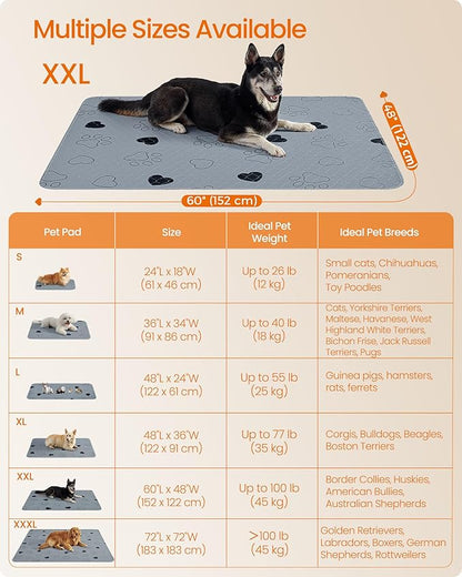 Feandrea Washable Dog Pee Pads, 2 Pack, Reusable Dog Pads, 60 x 48 Inches, XXL, Waterproof Pet Training Pads, Leakproof, Non-Slip, Super Absorbent, Gray UPTD048G01