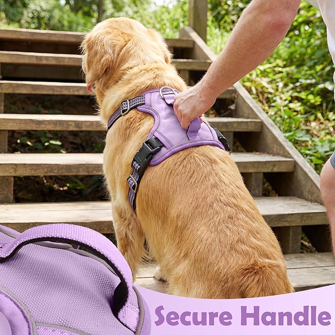 Funfox Dog Harness No Pull, Adjustable Pet Vest Harness, Super Soft Material with Vertical Handle Easy Control, Reflective Night Walking, 2 Leash Clips for Small Sized Dogs, Purple, S