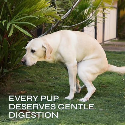 Probiotics for Dogs - Prebiotics & Digestive Enzymes 17,420 mg per Pack - Dog Probiotics Chews for Gut Health, Diarrhea, Gas & Constipation Relief - Itchy Skin, Allergies, Yeast Balance - 130 Treats
