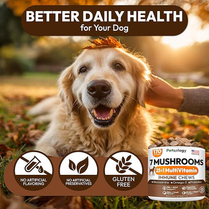 Turkey Tail Mushroom for Dogs - 170 Chews - Lion’s Mane - Shiitake - Reishi - Buddy Immune Support Guard - Mushroom Supplement for Dogs Lumps and Bumps Glucosamine, Health Vitamins Multivitamin
