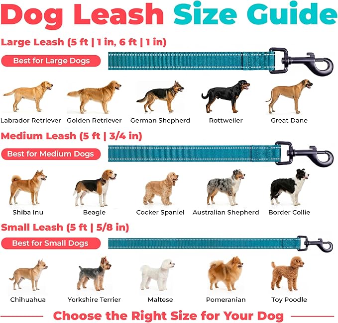 Best Pet Supplies Voyager Reflective Dog Leash or Collar with Neoprene Handle, for Small, Medium, and Large Breed Puppies, Cute and Heavy Duty for Walking, Running and Training - Turquoise (Leash), S