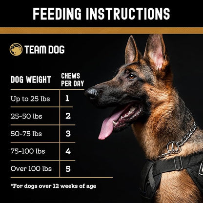 TEAM DOG Hip and Joint Chews for Dogs | Arthritis & Joint Support Supplements for Dogs | MSM, Chondroitin & Glucosamine | Small, Medium & Large Breed | Chicken, Duck & Pea Flavor | 120 Count