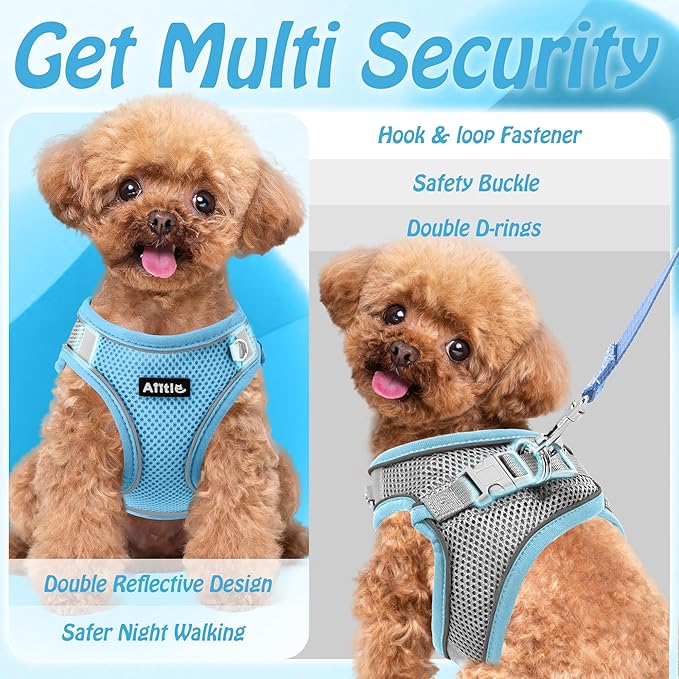 AIITLE Easy Walk Dog Harness and Leash Set - Pet Supply No Pull, Step in Adjustable Dog Harness with Padded Vest, Dog Harness No Choke Over, Easy to Put on Medium Dogs Pure Blue L